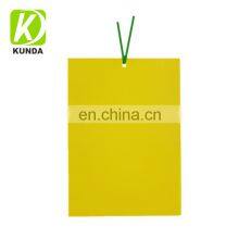 Dual-Sided Yellow Sticky Gnat Traps for Flying Plant Insect Like Fungus Gnats, Whiteflies, Aphids, Leaf Miners