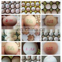 Eggs Expiry Date Printing Machine Egg Printer Ink Cartrige Inkjet Coding Machine thumbnail-2