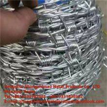 Isolation and Protection thumbnail-2