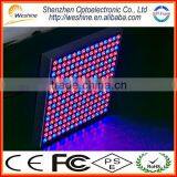 ;ed Grow Light Company