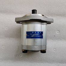 Hydraulic Pump CBWA-F314-AL5Φ9 thumbnail-1