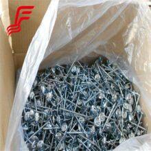 Hot Selling Galvanized Iron Umbrella Roofing Nails Cap Style With Smooth Shank for Steel Roofing Sheet Cheap Option thumbnail-4