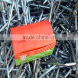 Common Wire Nail for Dubai Market thumbnail-5