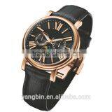 2015 Stainless Steel Autometic Movt Mens Watch Made in China