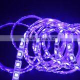 2016 High Lumen 60led/m 50000 Hours Life Outdoor Christmas Decoration Thin Bare-board Pcb DC 12V SMD 5050 LED Strip Light thumbnail-1