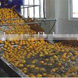 Fruit Washer With Brush Roller Especially For Cleaning Peach thumbnail-2