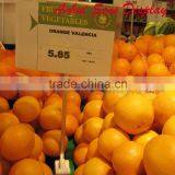 T-shape POP Sign Stand Sign Holder Leaflet Holder Price Holder thumbnail-1