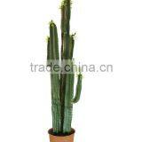 Artificial Cactus 1441