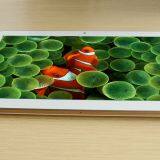 10.1 Inch MTK8321 Quad Core 3G Calling Android 5.1 1GB DDRIII 16GB Nandflah Tablet pc Laptop thumbnail-3