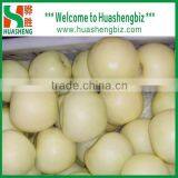 2016 Chinese Golden Delicious Fresh Apple With Best Quality thumbnail-6