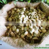 Cau Dat Caturra Coffee Beans With Fairtrade Certification thumbnail-2