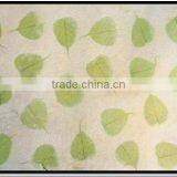 PT-91 PPS Handmade Mulberry Paper