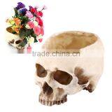 Resin Skull Head Design Flower Pot Planter Skeleton Decor thumbnail-1