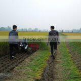 Multifunctional 4GL100 Mini Wheat Harvester Head thumbnail-6