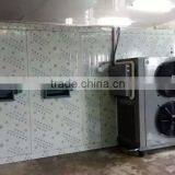 Ginger Heat Pump Dehydrator thumbnail-5