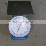 100kg Spring Balance Scale thumbnail-1