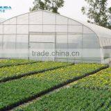 Tunnel Greenhouse thumbnail-1