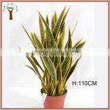 Artificial Variegated Yucca Agave Plant With Red Pot thumbnail-1