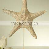 Custom Home Decor Art Artificial Starfish Statue thumbnail-3