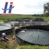 Hot Sales of Water Proof Material Fish Equipment Fish Farm Swimming Pool Shrimp Farm HDPE Geomembrane thumbnail-2