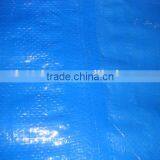 Virgin Material Blue Color PE Tarpaulin thumbnail-4