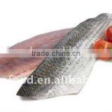 Grey Mullet Fillet ,skin-on,boneless IQF Processing Frozen Seafood thumbnail-1