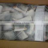 FRESH FROZEN PANGASIUS STEAK OF ALO SEAFOOD Co. thumbnail-6