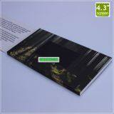 Video Brochure for Business Promotion With 4.3 Inch Screen thumbnail-4