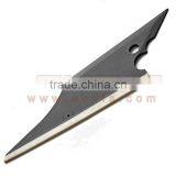 Fish Shape Squeegee/Pro Application Tool Squeegee/squeegee Card