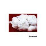 Sell Fresh Garlic thumbnail-1