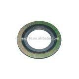 Spiral Wound Gasket