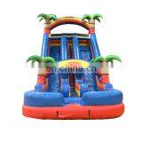 Double Lane Rainbow Palm Tree Water Slides Inflatable Tropical Water Slide For Children thumbnail-2