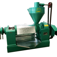 Automatic moringa seed oil extraction machine Qingjiang oil press for sale