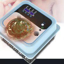 220v+12v Automaitic Egg Turning Mini Chicken Incubator for Home Use thumbnail-5