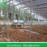 Multi Span Polycarbonate Sheet Commercial Greenhouse