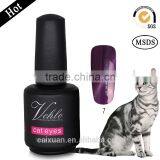 2015 NEW FACTORY SUPPLY 24 COLORS NAIL GEL POLISH CAT EYE COLOR LASER NAIL GEL POLISH OEM Quality Choice thumbnail-5