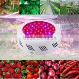 45W Mini UFO Led Grow Light for Full Spectrum Led Grow Light