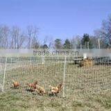 Factory Price Plastic Poultry Netting/Animal Fence thumbnail-2