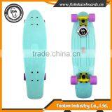 High Strength Plastic Molded Deck Fish Skateboard Different Colored thumbnail-1