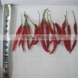2013 Cheapest Dried Peppers thumbnail-5