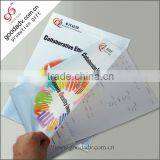 Factory Price pp Material Eco-friendly Clear Holder File a4