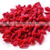 Nutrient-dense Goji Berry thumbnail-1