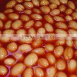 FDA KOSHER Canned White Kidney Beans in Tomato Paste thumbnail-3