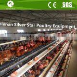 Poultry Farm Chicken Cage/wire Mesh Chicken Coop for Egg Layers /chicken Wire Mesh Cage thumbnail-3