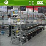 Automatic Chicken Shed Day Old Layer Chicks Poultry Cage