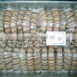 Zhoushan Ship Frozen Marsupenaeus Japonicus (shrimp Kind) thumbnail-5