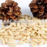 PINE NUT KERNEL thumbnail-3