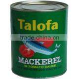 canned mackerel seafood
