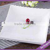 Good Quality White Melamine Resin Plate thumbnail-3