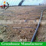 Tomato Growing Sun Shade Plastic Film Greenhouse thumbnail-4
